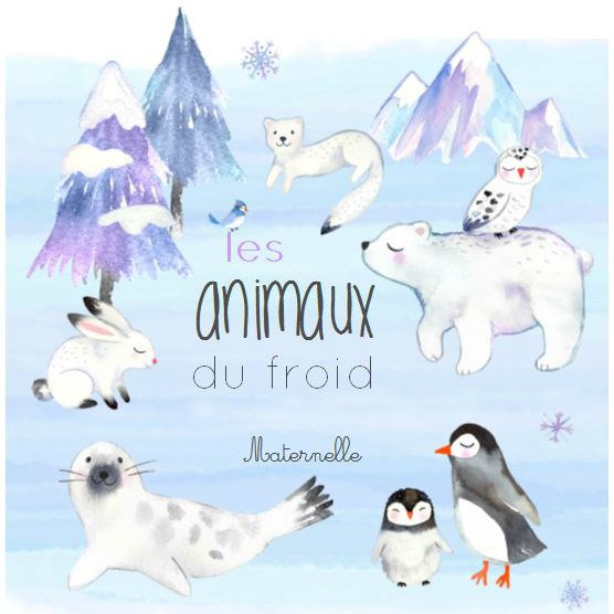 animaux froid maternelle boutique