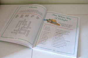 Anne of green gables activity book
