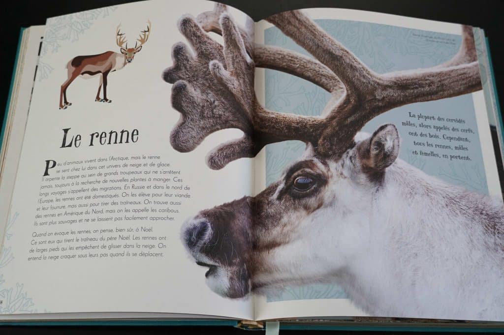 Ces beaux livres qui enrichissent notre école à la maison - sélection