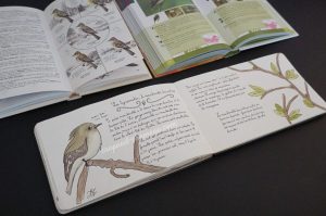 Nature journaling copyright crapaud-chameau