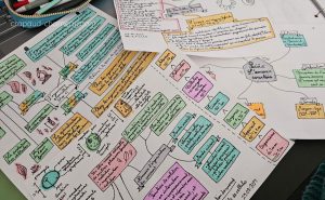 seconde mind mapping carte mentale copyright crapaud-chameau.com